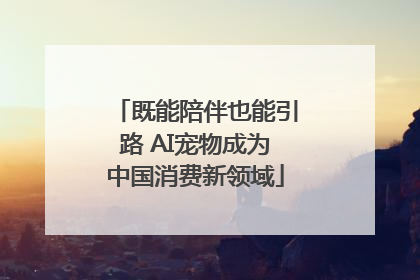 既能陪伴也能引路 AI宠物成为中国消费新领域