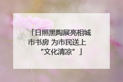 日照黑陶展亮相城市书房 为市民送上“文化清凉”