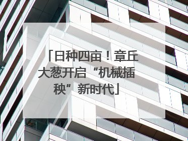 日种四亩！章丘大葱开启“机械插秧”新时代