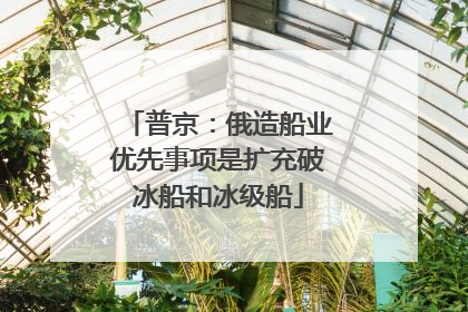 普京：俄造船业优先事项是扩充破冰船和冰级船