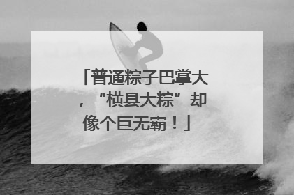 普通粽子巴掌大，“横县大粽”却像个巨无霸！