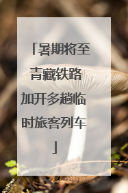 暑期将至 青藏铁路加开多趟临时旅客列车