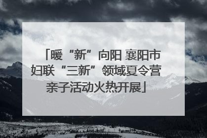 暖“新”向阳 襄阳市妇联“三新”领域夏令营亲子活动火热开展