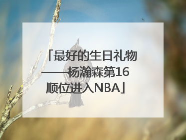 最好的生日礼物——杨瀚森第16顺位进入NBA