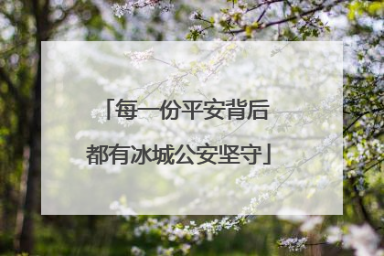 每一份平安背后 都有冰城公安坚守