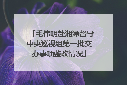 毛伟明赴湘潭督导中央巡视组第一批交办事项整改情况