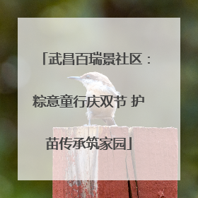 武昌百瑞景社区：粽意童行庆双节 护苗传承筑家园