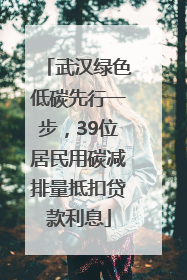 武汉绿色低碳先行一步，39位居民用碳减排量抵扣贷款利息