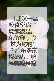 武汉一高校食堂称“烧鹅饭是广东俗称，食材为烤鸭”？广东多家烧鹅店：鸭是鸭鹅是鹅