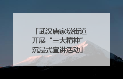武汉唐家墩街道开展“三大精神”沉浸式宣讲活动