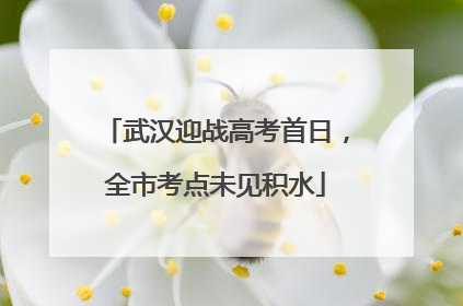 武汉迎战高考首日，全市考点未见积水