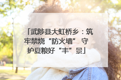 武陟县大虹桥乡：筑牢禁烧“防火墙” 守护夏粮好“丰”景