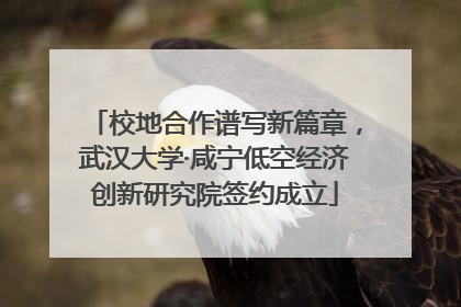 校地合作谱写新篇章，武汉大学·咸宁低空经济创新研究院签约成立