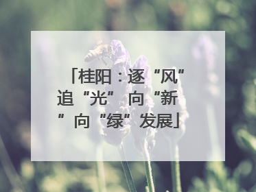 桂阳：逐“风”追“光” 向“新”向“绿”发展