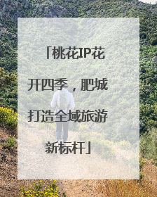 桃花IP花开四季，肥城打造全域旅游新标杆