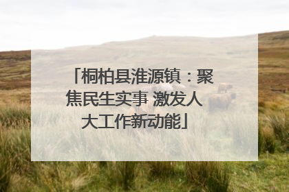 桐柏县淮源镇：聚焦民生实事 激发人大工作新动能
