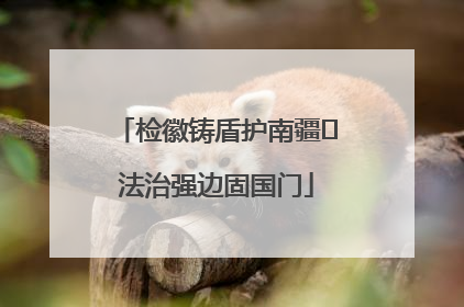 检徽铸盾护南疆 法治强边固国门