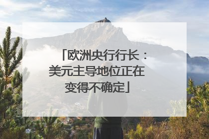 欧洲央行行长：美元主导地位正在变得不确定