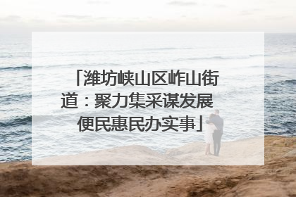 潍坊峡山区岞山街道：聚力集采谋发展 便民惠民办实事