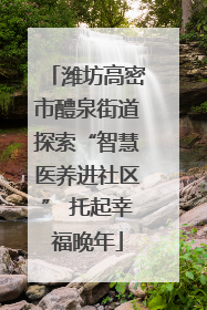 潍坊高密市醴泉街道探索“智慧医养进社区” 托起幸福晚年