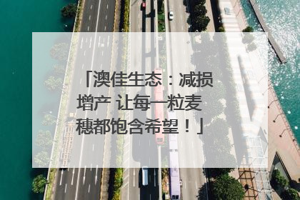 澳佳生态：减损增产 让每一粒麦穗都饱含希望！