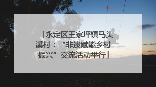 永定区王家坪镇马头溪村：“非遗赋能乡村振兴”交流活动举行