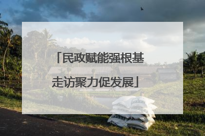 民政赋能强根基 走访聚力促发展
