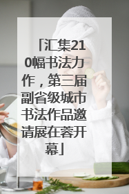 汇集210幅书法力作，第三届副省级城市书法作品邀请展在蓉开幕
