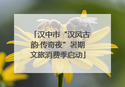 汉中市“汉风古韵·传奇夜”暑期文旅消费季启动