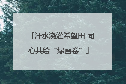 汗水浇灌希望田 同心共绘“绿画卷”