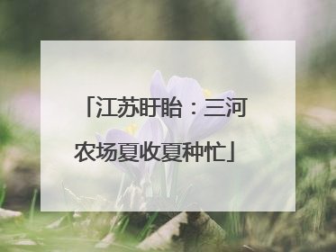 江苏盱眙：三河农场夏收夏种忙