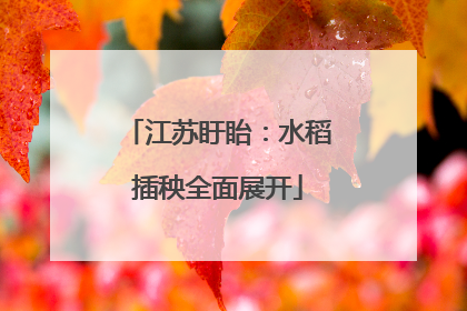 江苏盱眙：水稻插秧全面展开