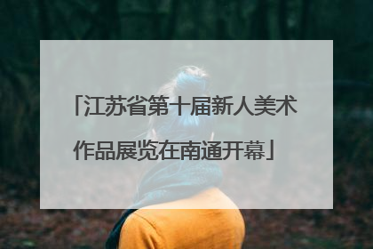 江苏省第十届新人美术作品展览在南通开幕