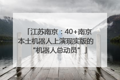 江苏南京：40+南京本土机器人上演现实版的“机器人总动员”