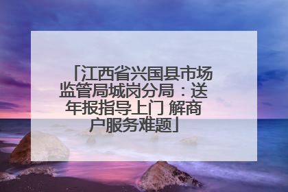 江西省兴国县市场监管局城岗分局：送年报指导上门 解商户服务难题