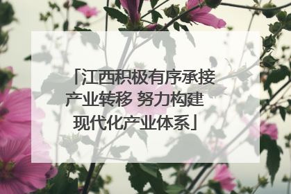 江西积极有序承接产业转移 努力构建现代化产业体系