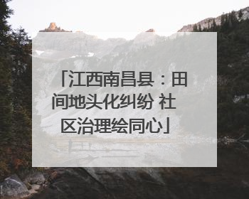 江西南昌县：田间地头化纠纷 社区治理绘同心