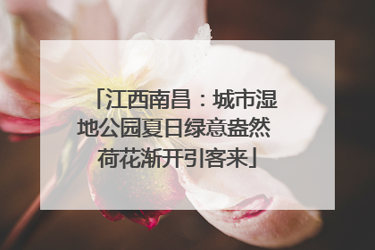 江西南昌：城市湿地公园夏日绿意盎然 荷花渐开引客来
