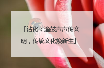 沾化：渔鼓声声传文明，传统文化焕新生