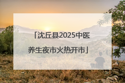 沈丘县2025中医养生夜市火热开市