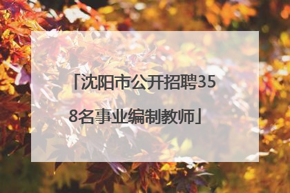 沈阳市公开招聘358名事业编制教师