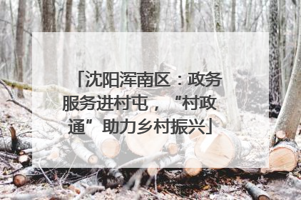 沈阳浑南区：政务服务进村屯，“村政通”助力乡村振兴