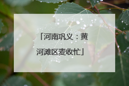 河南巩义：黄河滩区麦收忙