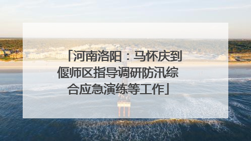 河南洛阳：马怀庆到偃师区指导调研防汛综合应急演练等工作