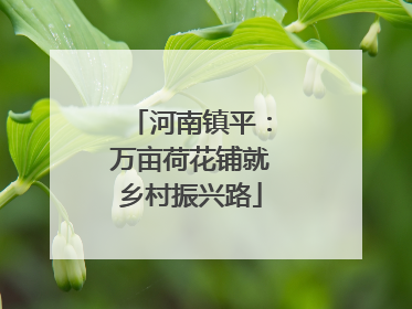 河南镇平：万亩荷花铺就乡村振兴路