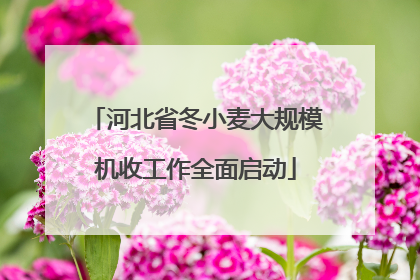 河北省冬小麦大规模机收工作全面启动