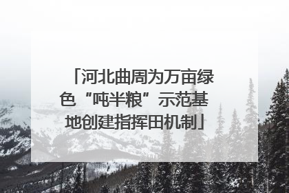 河北曲周为万亩绿色“吨半粮”示范基地创建指挥田机制