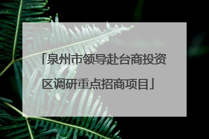 泉州市领导赴台商投资区调研重点招商项目