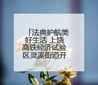 法典护航美好生活 上饶高铁经济试验区灵溪街道开展民法典普法宣传月系列活动