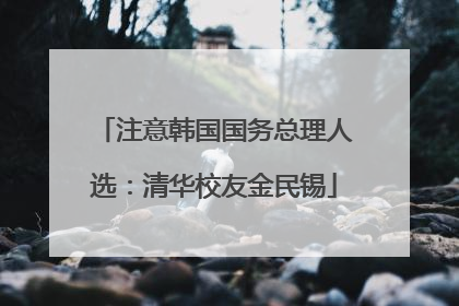 注意韩国国务总理人选：清华校友金民锡